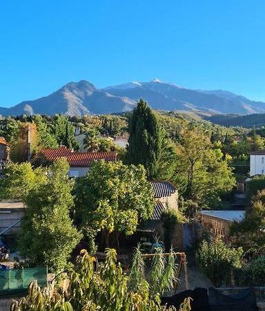 Le Cocon En Coeur De Ville Prades  Buitenkant foto